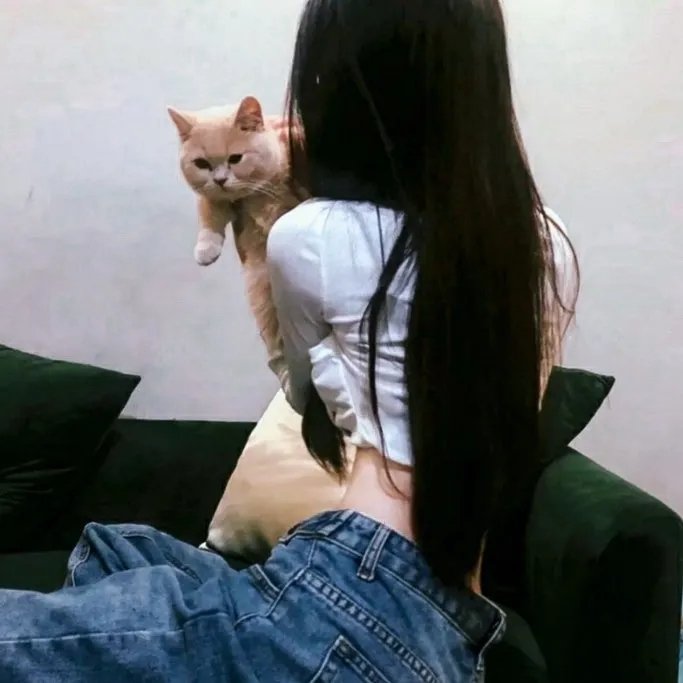 以父子之名